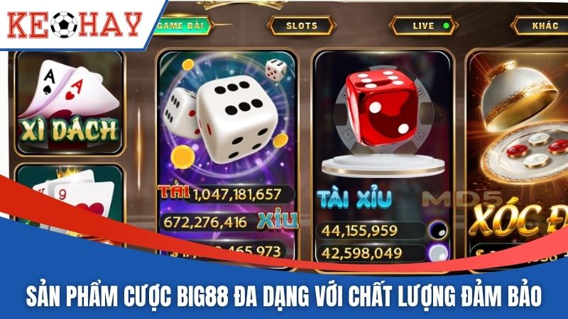 Sản phẩm cược BIG88 đa dạng với chất lượng đảm bảo