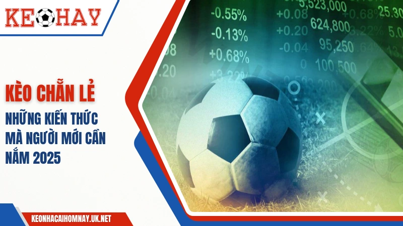 Kèo Chẵn Lẻ – Những Kiến Thức Mà Người Mới Cần Nắm 2025
