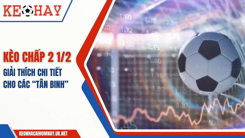 Kèo Chấp 2 1/2 Là Sao – Giải Thích Chi Tiết Cho “Tân Binh”