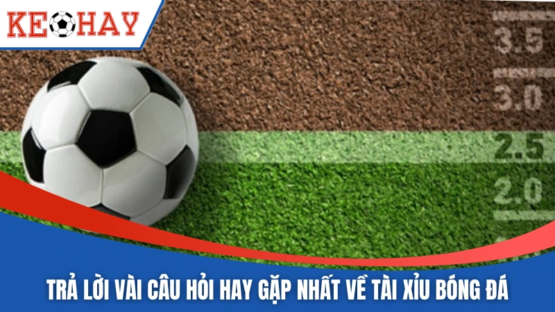 Trả lời vài câu hỏi hay gặp nhất về tài xỉu bóng đá