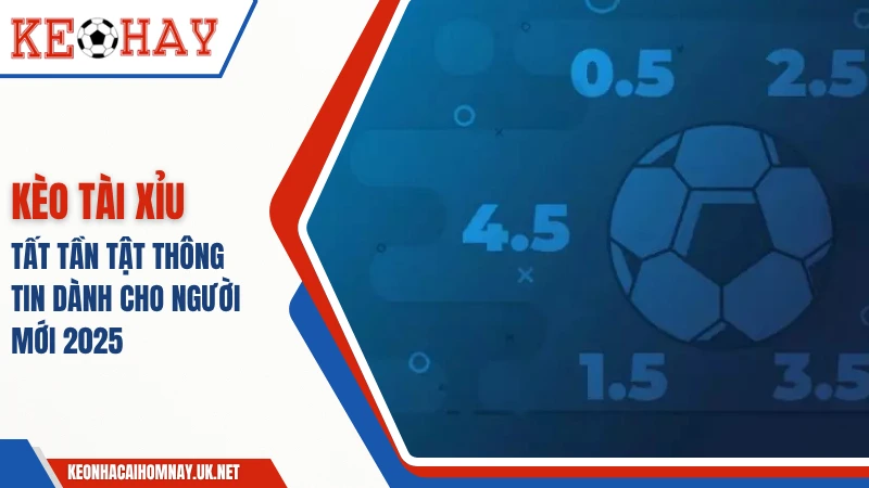 Kèo Tài Xỉu Bóng Đá: Tất Tần Tật Thông Tin Dành Cho Newbie