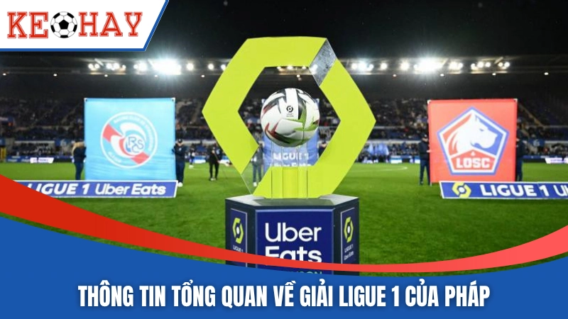 Thông tin tổng quan về giải Ligue 1 của Pháp