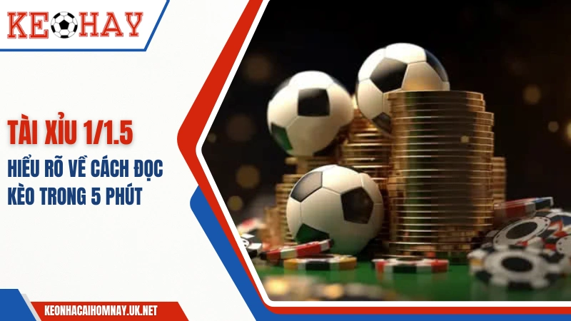Tài Xỉu 1/1.5 – Hiểu Rõ Về Cách Đọc Kèo Chỉ Trong 5 Phút