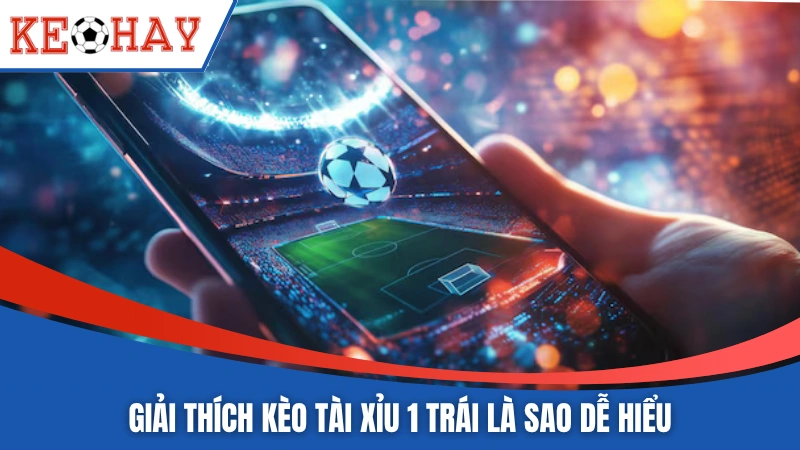 Giải thích kèo tài 1 trái là sao dễ hiểu