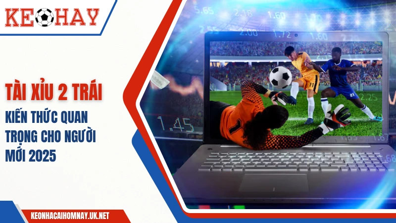 Tài Xỉu 2 Trái: Kiến Thức Quan Trọng Cho Người Mới 2025