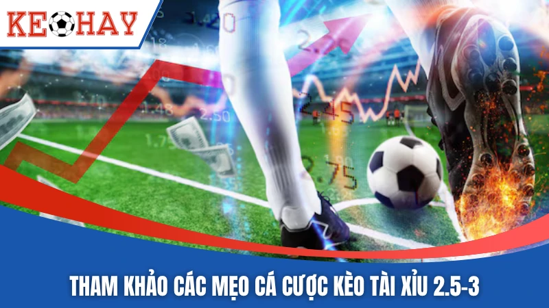 Tham khảo các mẹo cá cược kèo tài xỉu 2.5-3