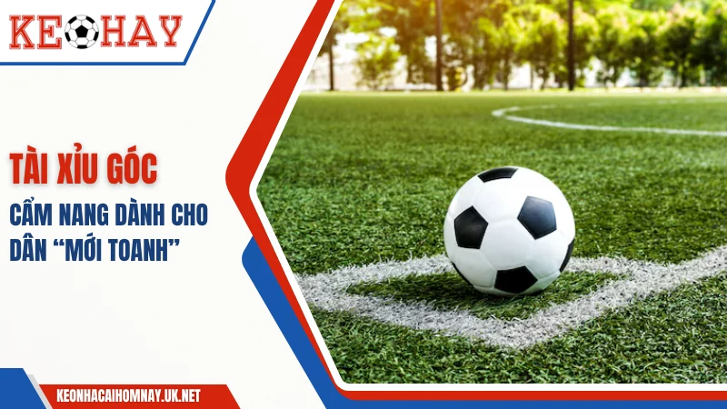 Tài Xỉu Phạt Góc – Cẩm Nang Dành Cho Dân “Mới Toanh”